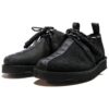 Clarks x Neighborhood Desert Trek GTX ”Black” 26167086
